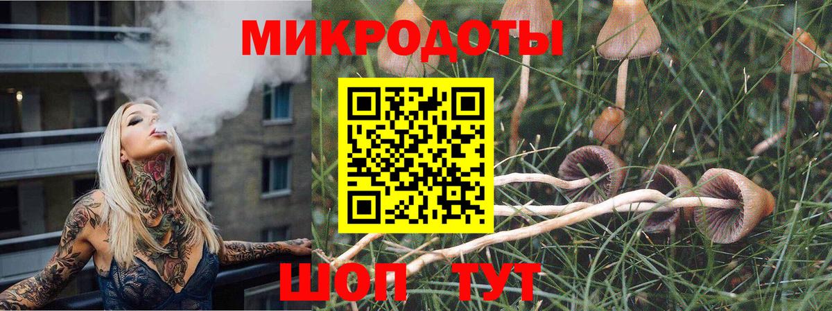 как найти   Псилоцибиновые грибы прущие грибы  Вход с VPN  Зерноград 